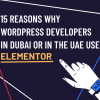 Why WordPress developers use Elementor