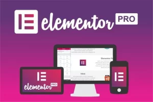 Why do most UAE WordPress developers use Elementor for websites?